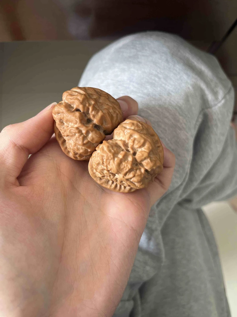 文玩核桃福利工费链接