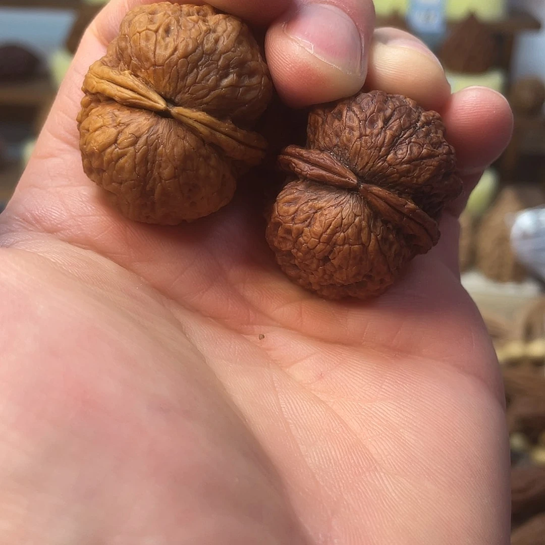 文玩核桃把件天启元宝2