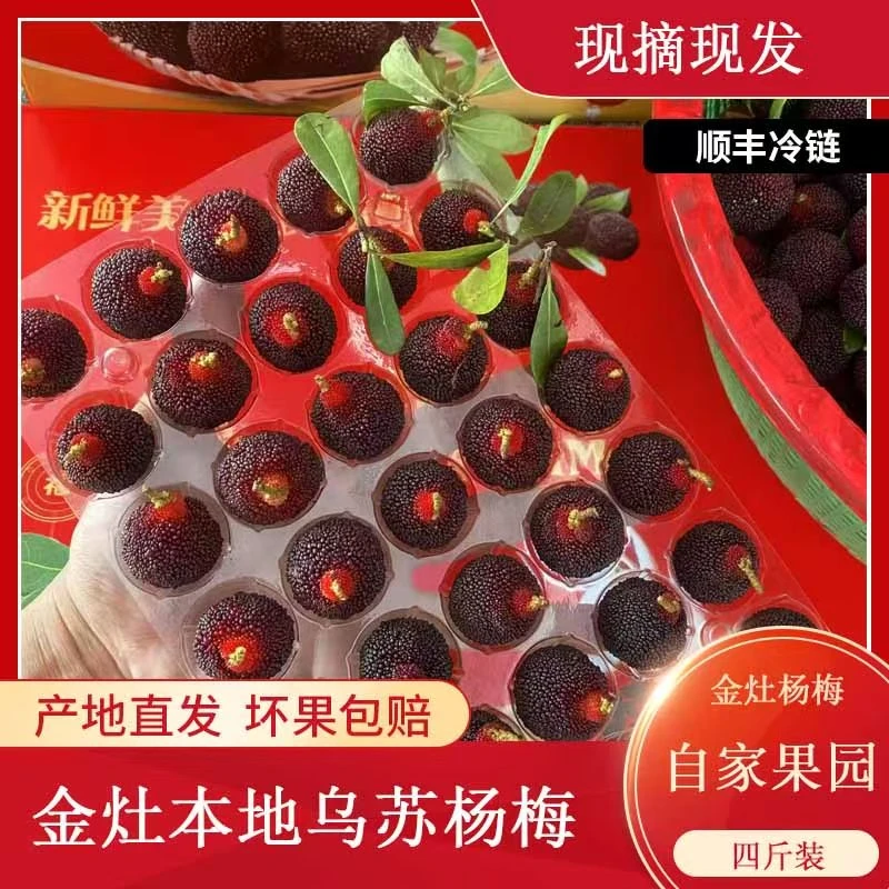 潮汕金灶本地正宗【乌酥杨梅】2-4斤装 新鲜采摘 全程冷链