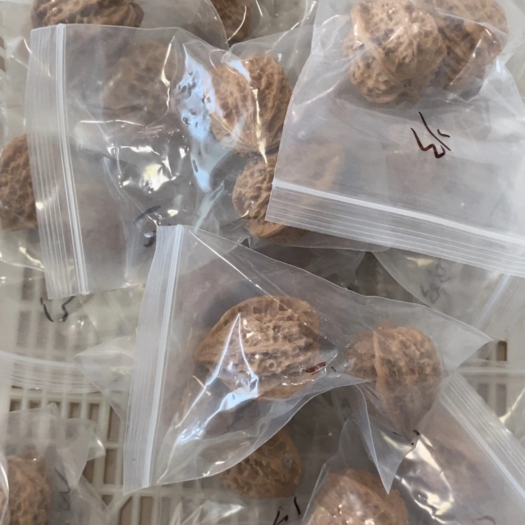 文玩核桃吊坠13陵有瑕疵