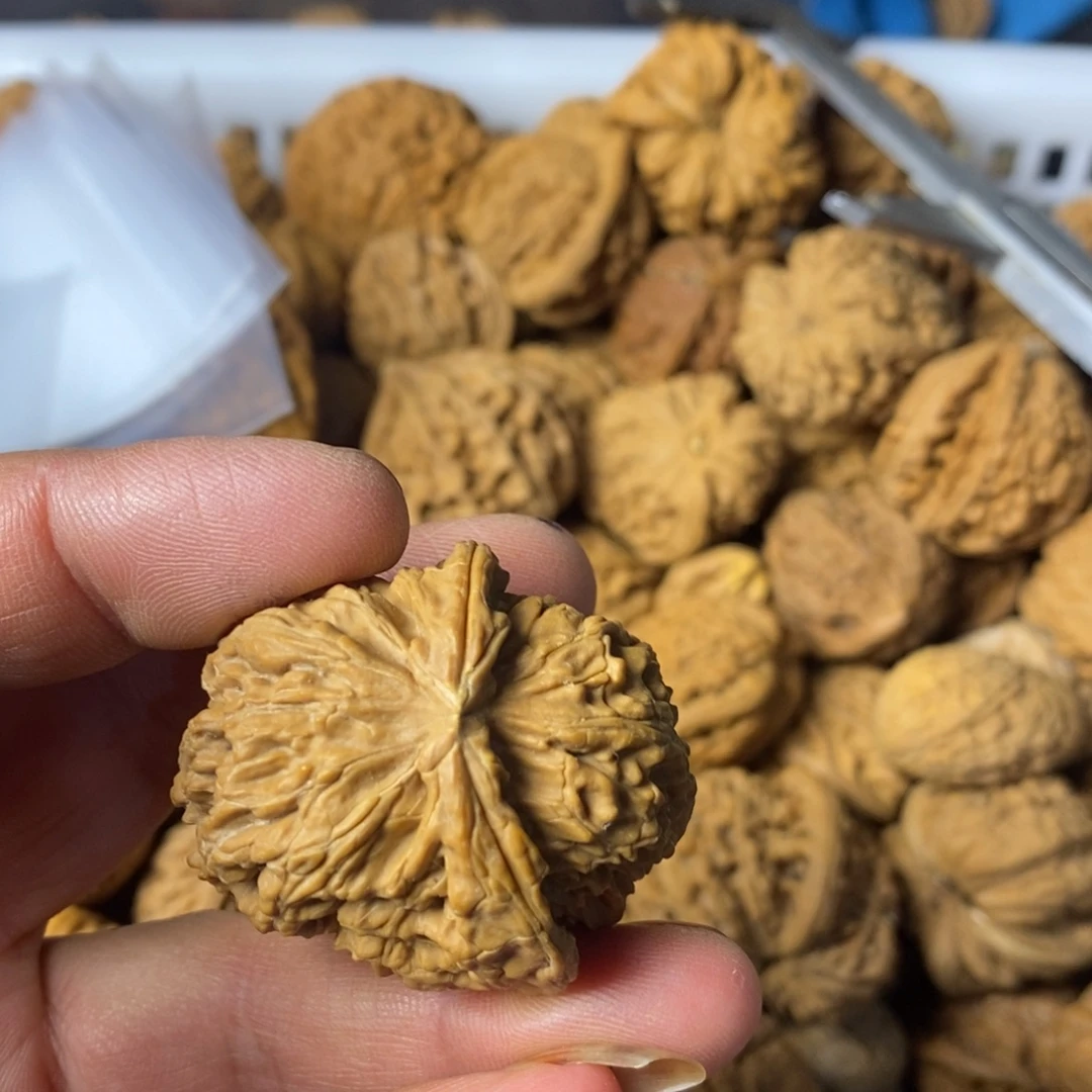 H***某大叶紫檀（黑酸枝木类）