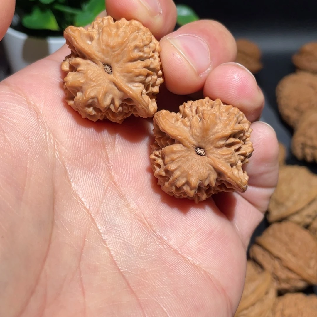 文玩核桃把件D***_33珊瑚纹