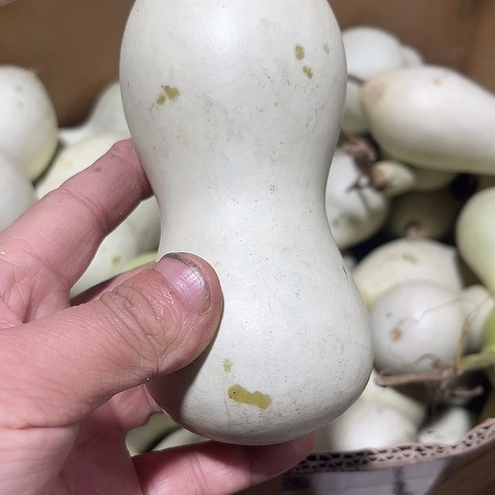 非洲紫檀（红花梨）一**子