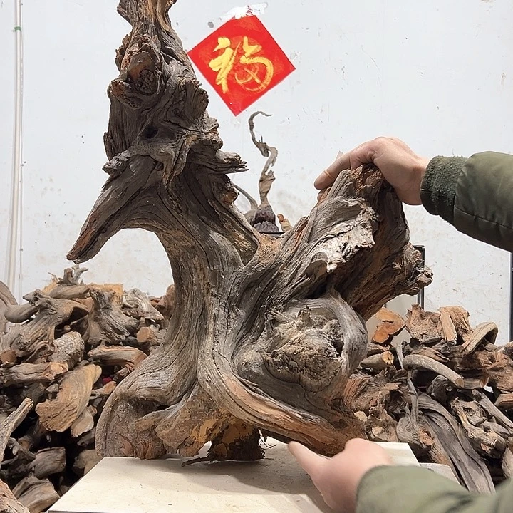 柏木用****3强烈推荐给大家的