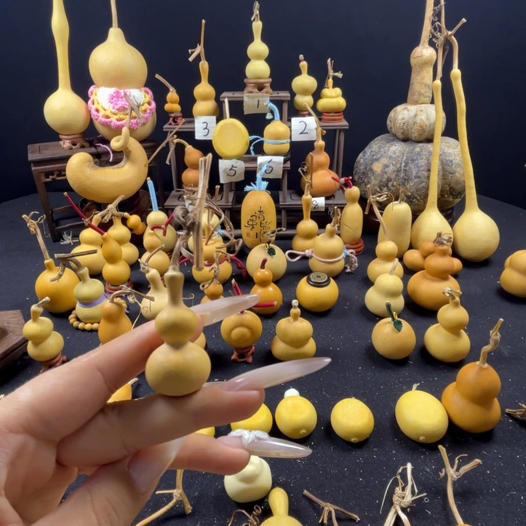 葫芦嘎嘎涨的三七度小葫芦