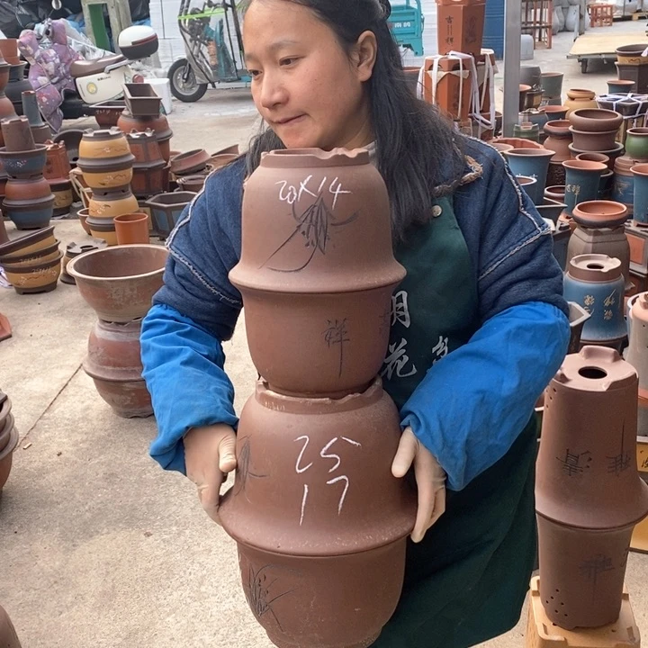 紫砂花盆盆栽花卉苗木种植