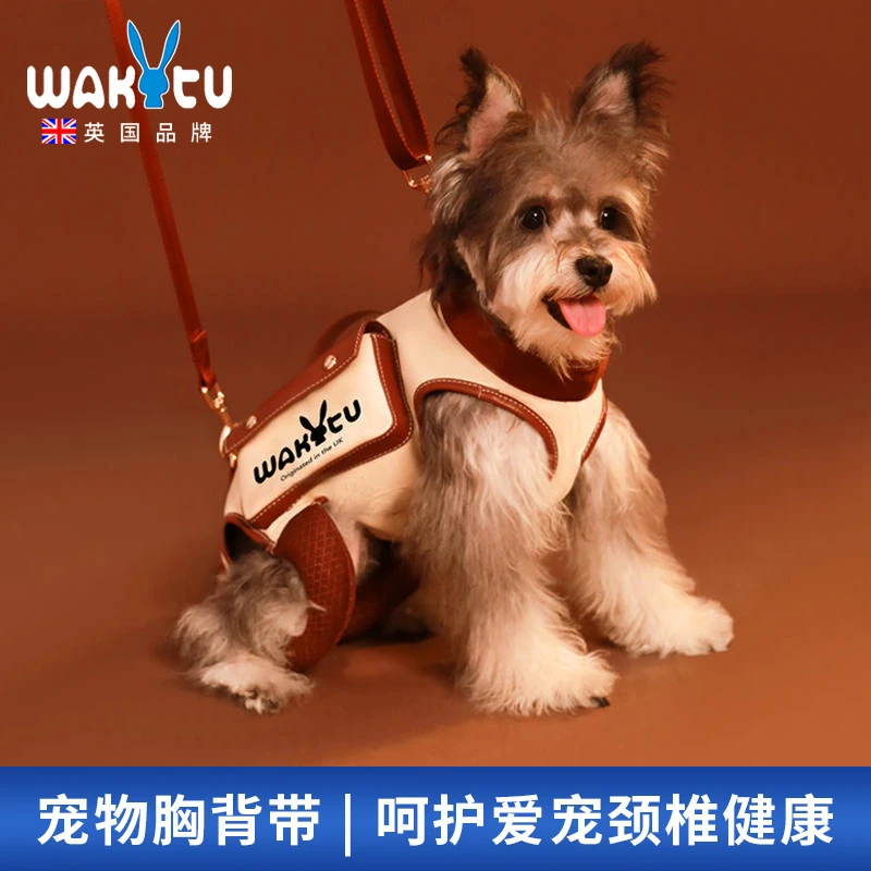 Wakytu英国狗狗外出单肩背带牵引绳猫咪背包高级便携式宠物包透气