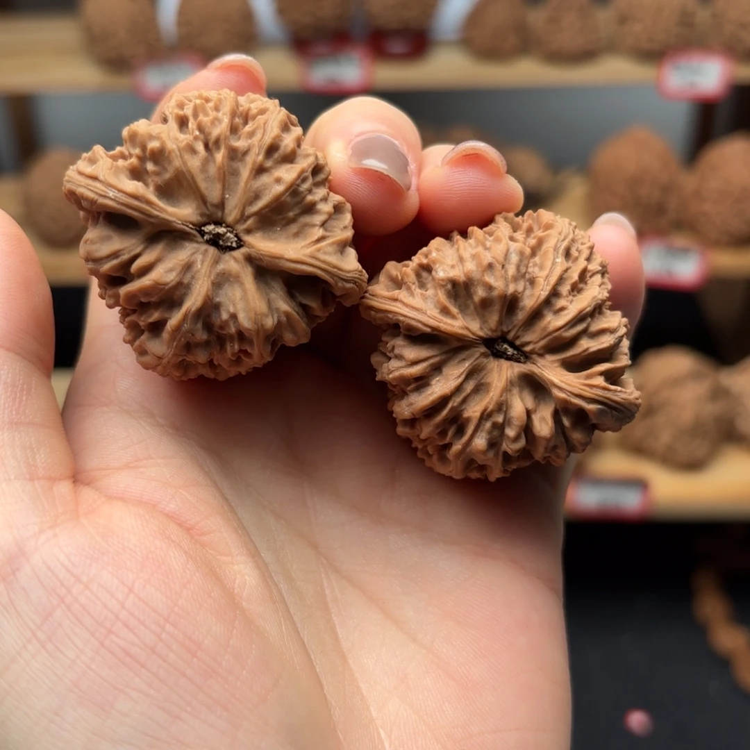 柳***卿核桃涿鹿一代南疆42