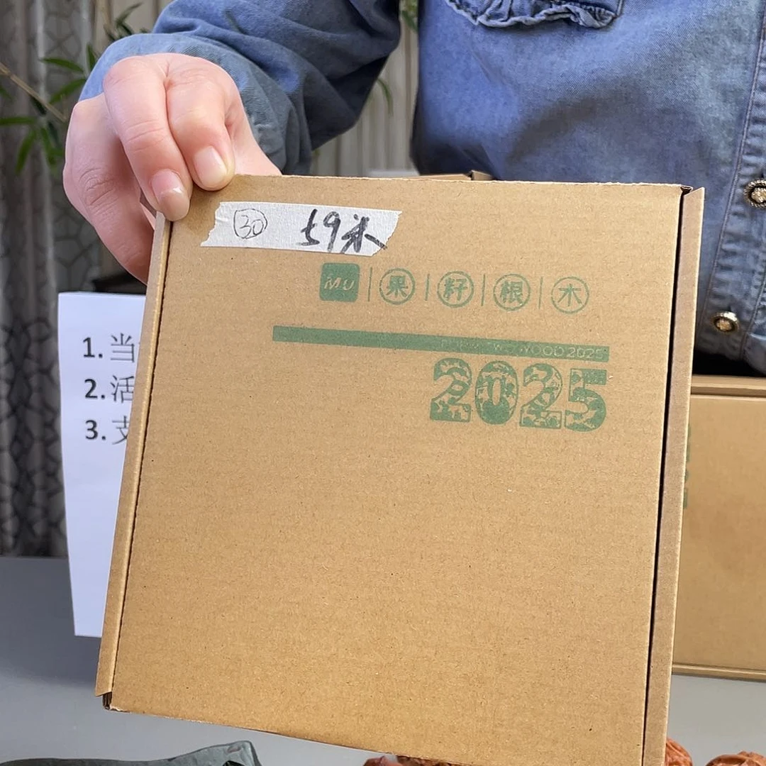 桃核把件30号文玩核桃