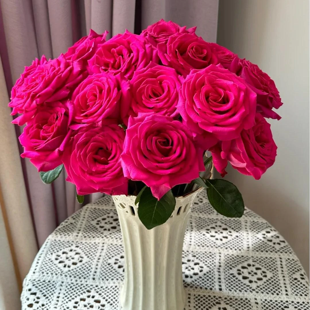 【弗洛伊德玫瑰】云南直发玫瑰鲜花两单顺丰冷链包邮LT