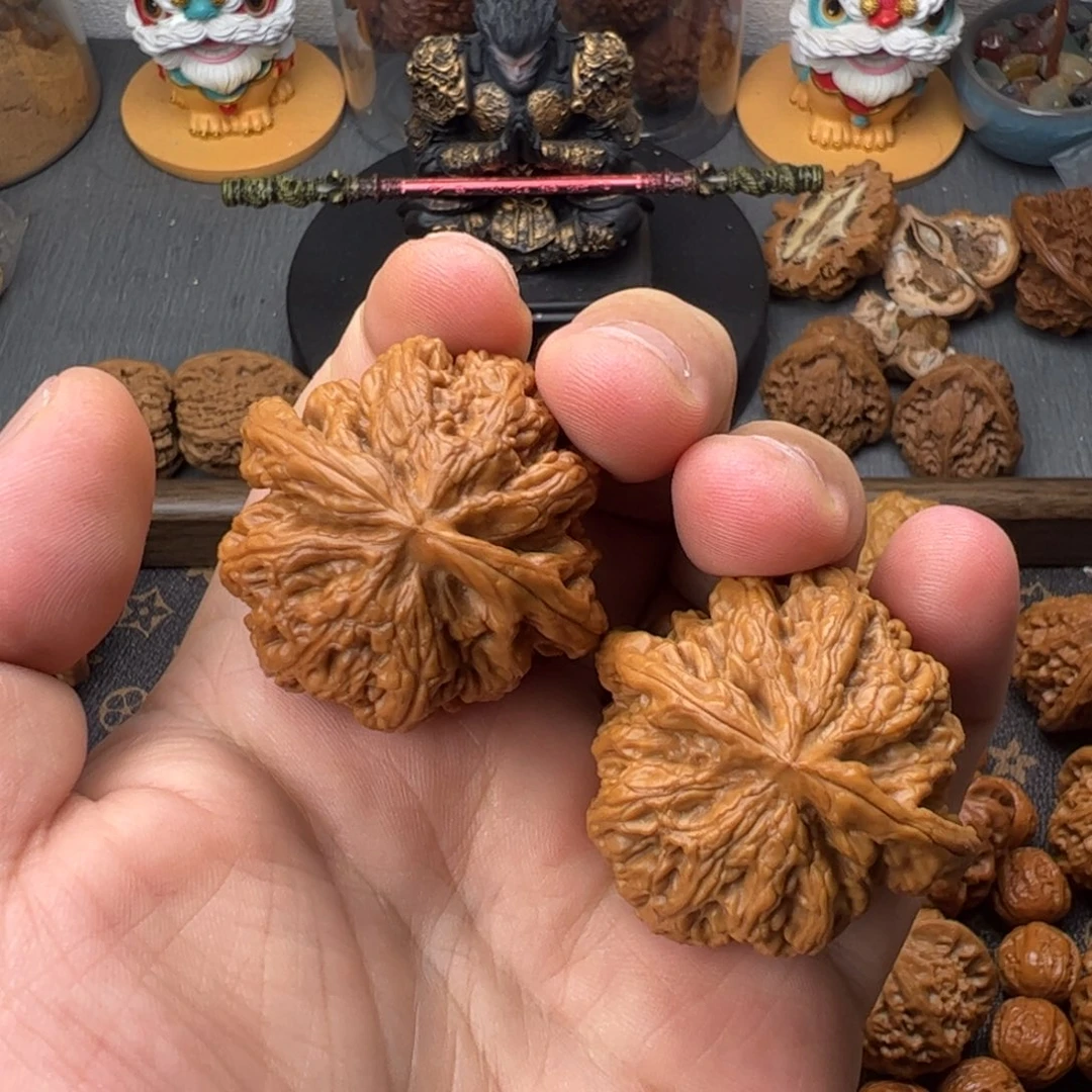 43大粗筋瑕疵111111