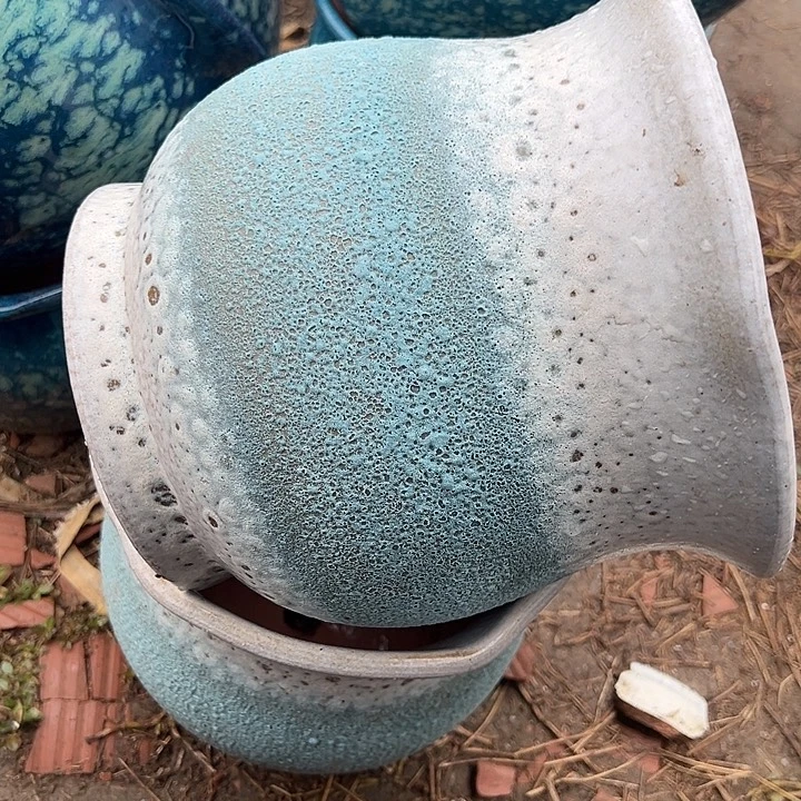 口20高20，清仓价。。。。。。。。。。