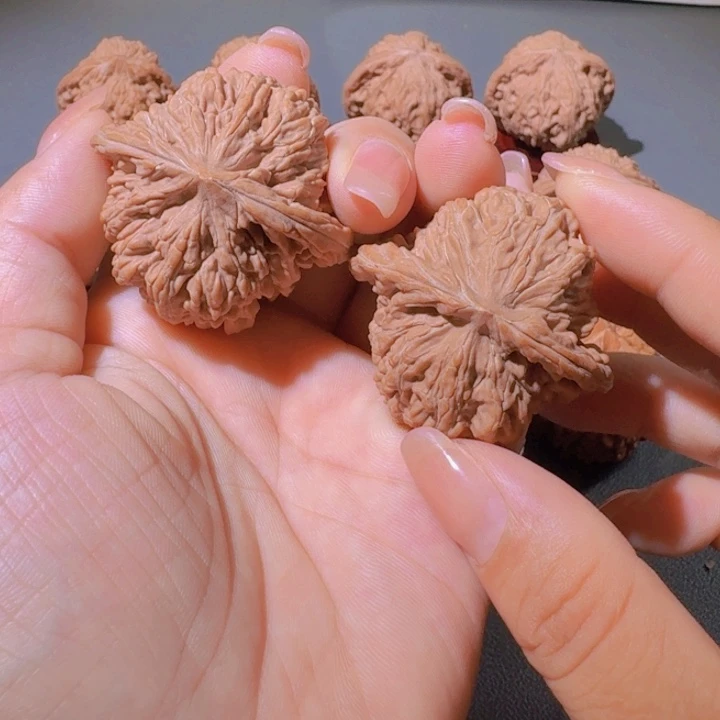 核桃专用链接，四座楼