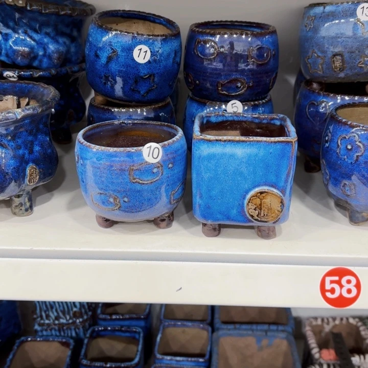 红陶汐*内敛的人是有的没得