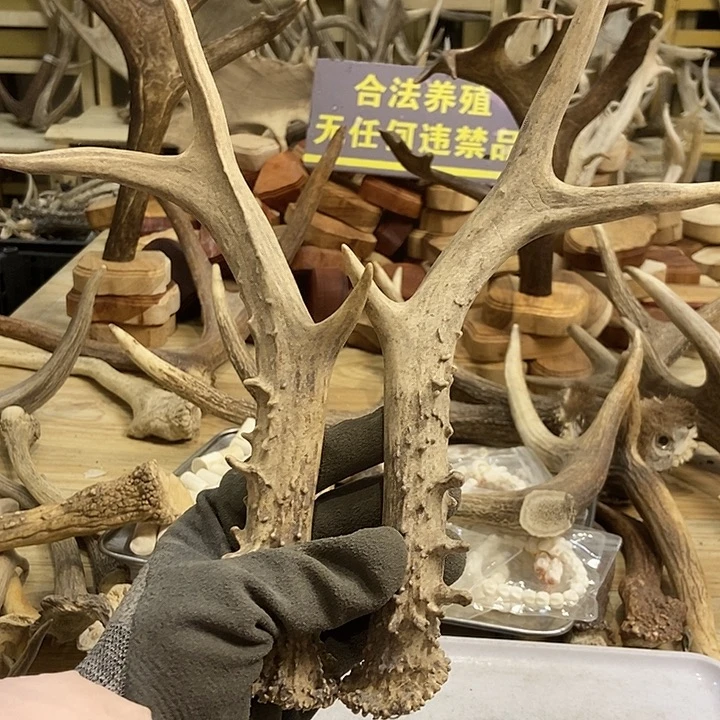开****大叶紫檀（黑酸枝木类）