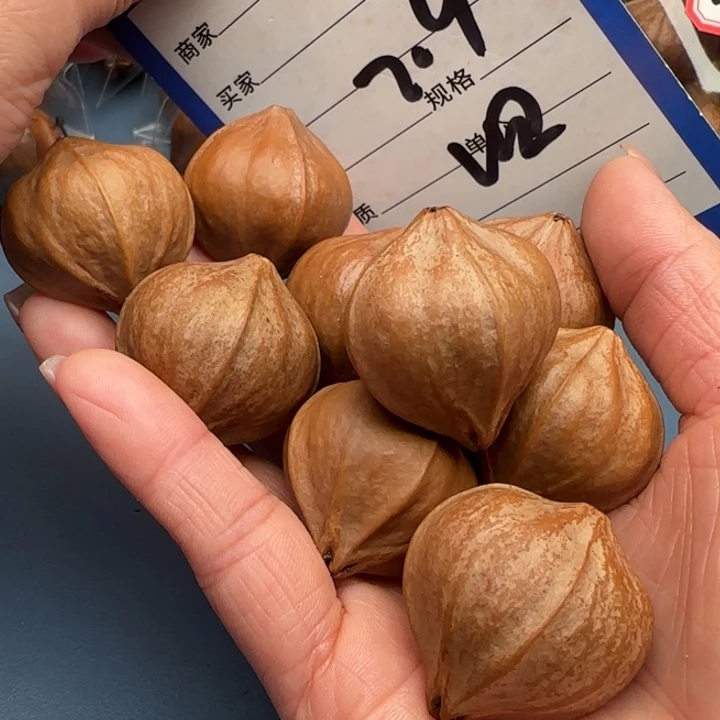 中***】橄榄核手串橄榄核