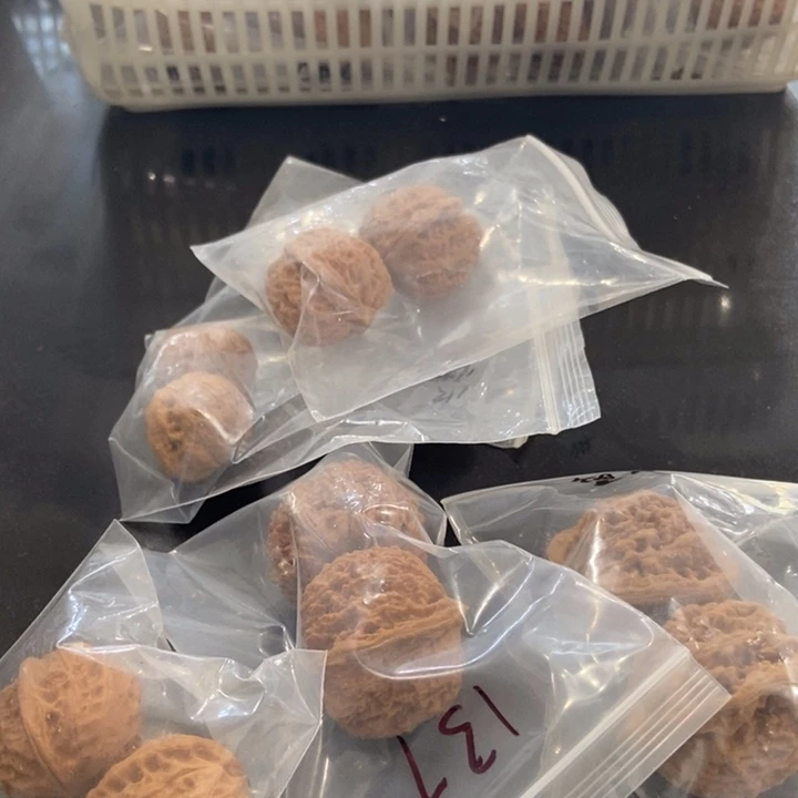 吊坠文玩核桃手****8一单6对