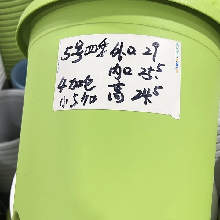 特价5号口29高24.5白色5只无托