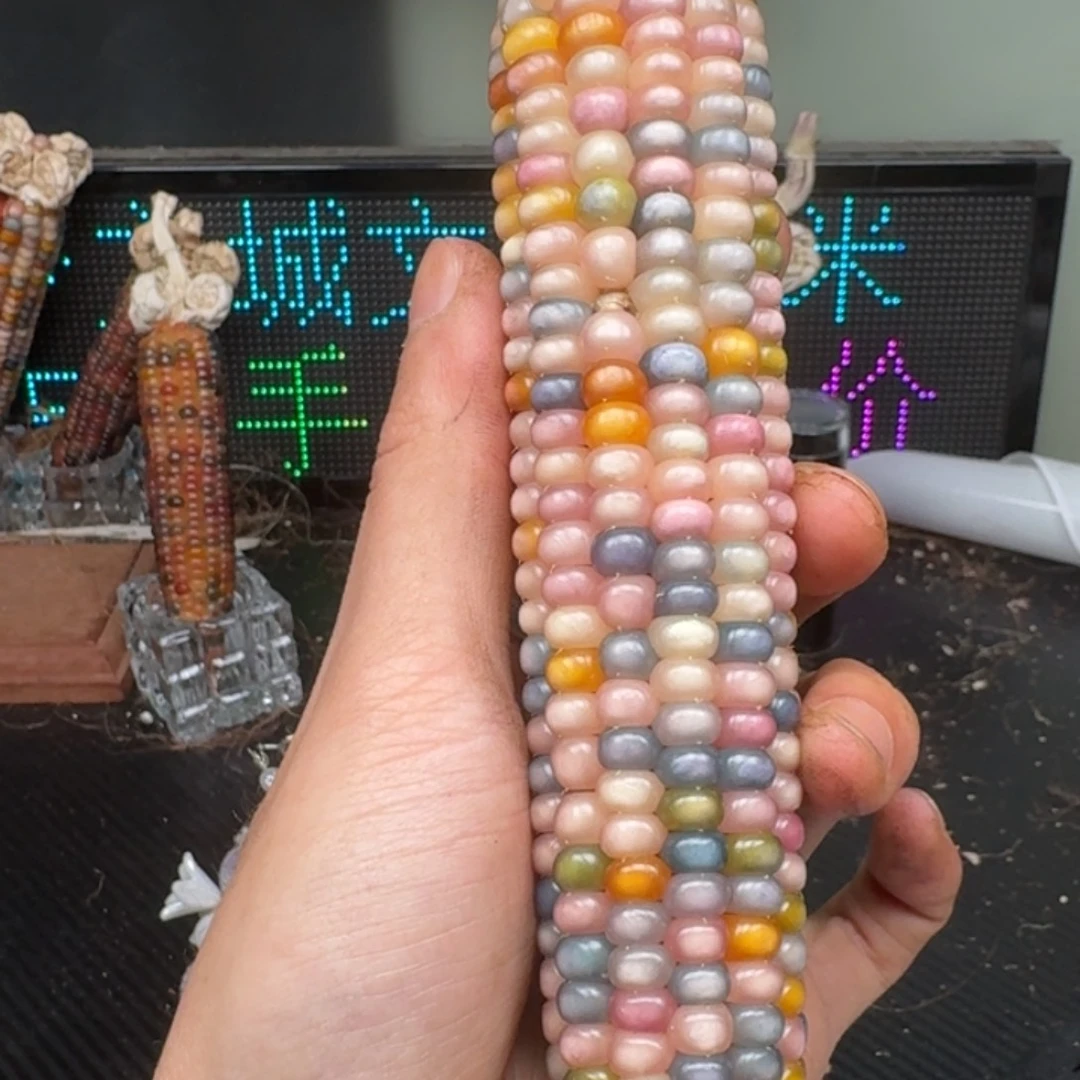 柏香籽/百香籽吊坠染*