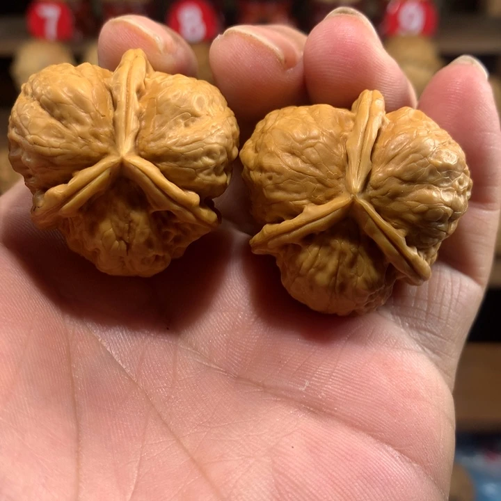 雕*云南铁核桃手把件：7号