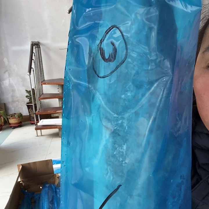 青***光中国大陆渤海湾野生燕鲅鱼3号