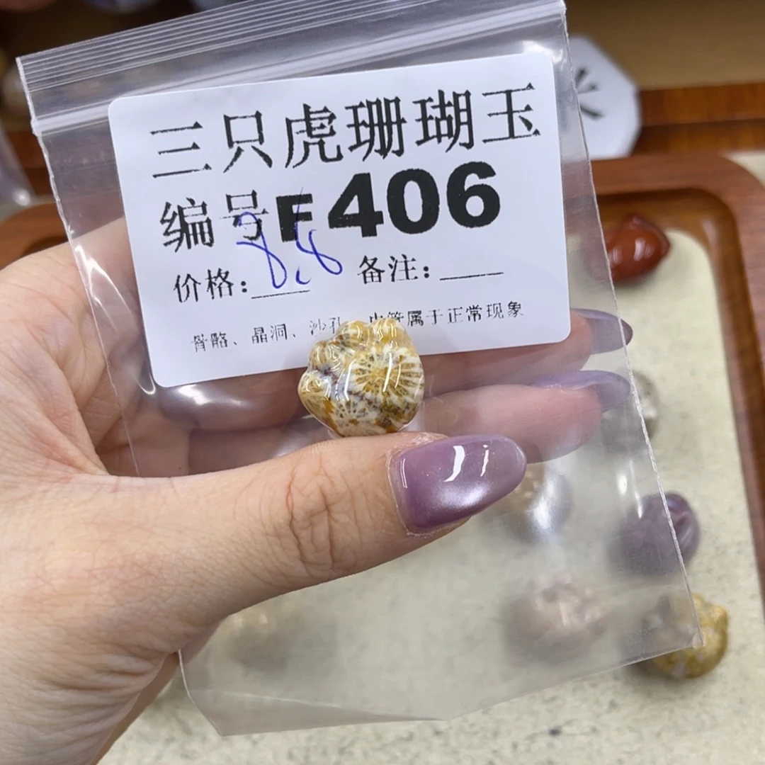 一***萍未镶嵌h硅化珊瑚（珊瑚玉）