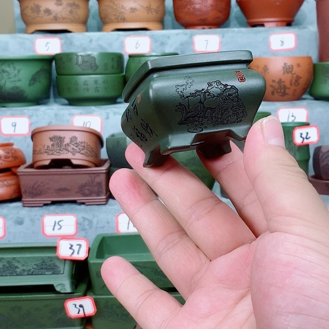 紫砂花盆我在看书