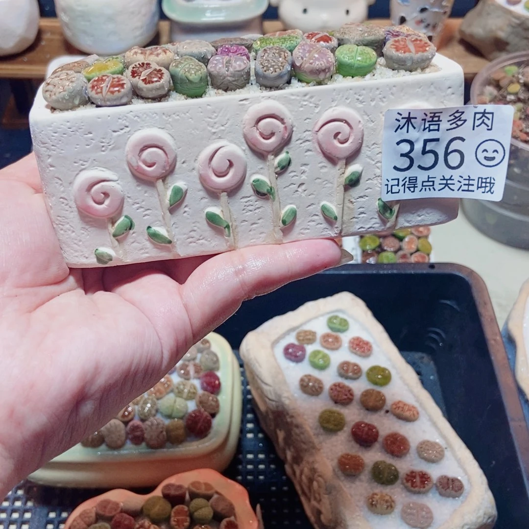 H****一物一拍 所见即所得356