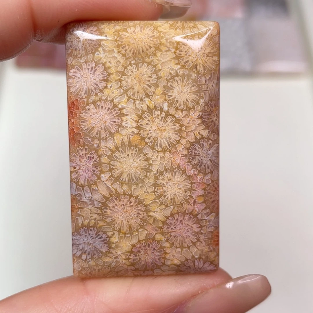 【闪购商品】未镶嵌吊坠(赠链)硅化玉