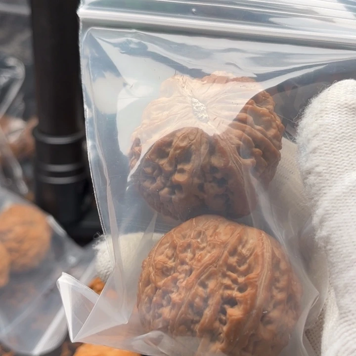 大***海文玩核桃把件御尊