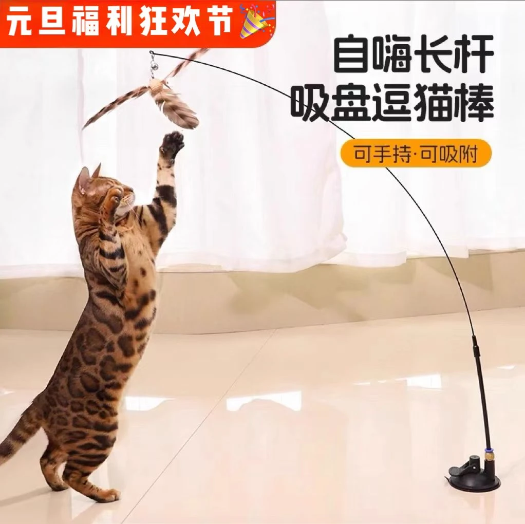 吸盘逗猫棒羽毛带铃铛带替换头宠物毛绒玩具逗猫神器解闷自嗨互动