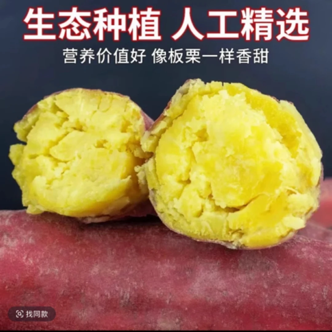 【买3斤送2斤】新鲜现挖板栗红薯粉糯香甜正宗蜜薯板栗红薯