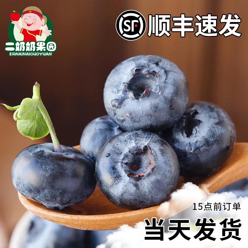 【二奶奶果园】10盒云南高山蓝莓鲜果脆甜花香多汁新鲜水果顺丰包邮