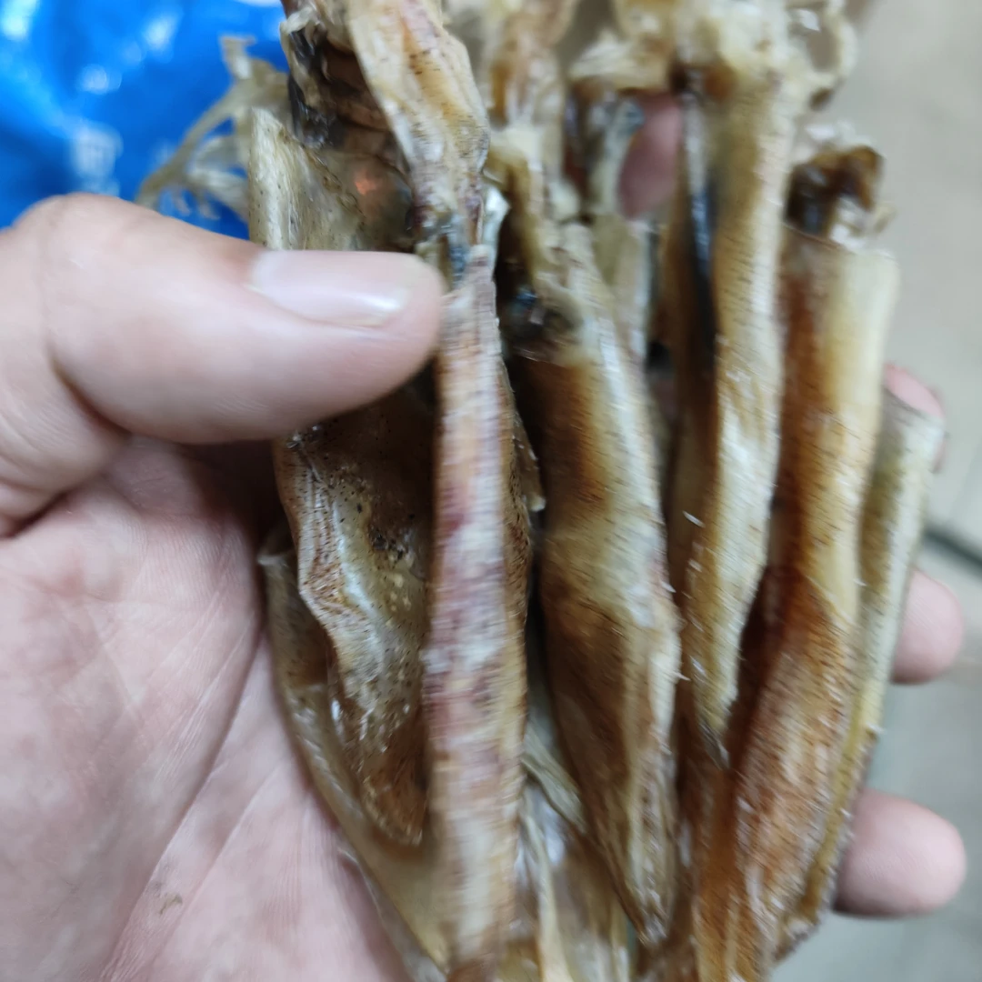 [60只船晒鱿鱼筒]汕尾港潮汕鱿鱼筒吹筒干(有挑眼，没挑墨)足干货