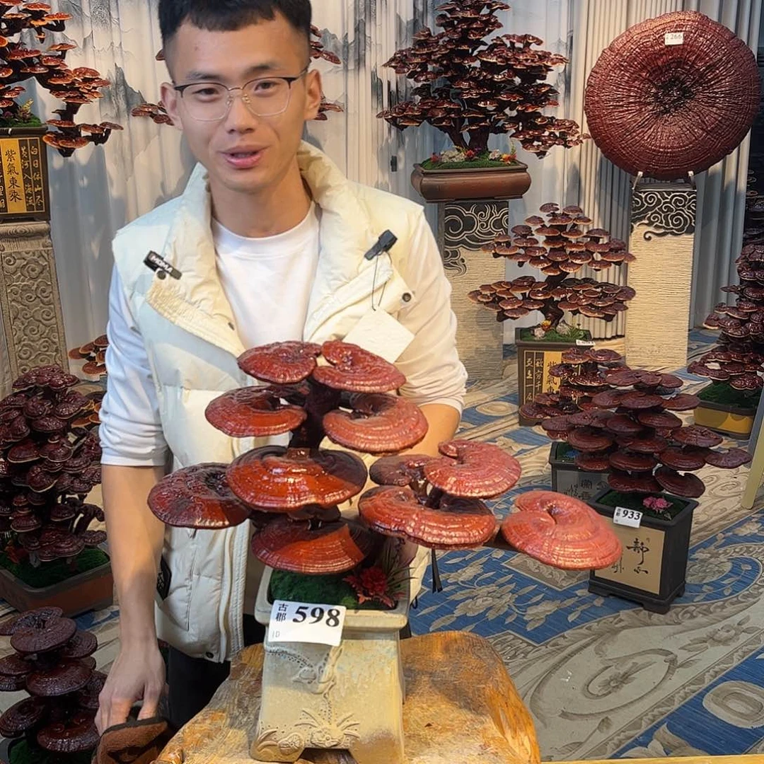 无花朵88888888888