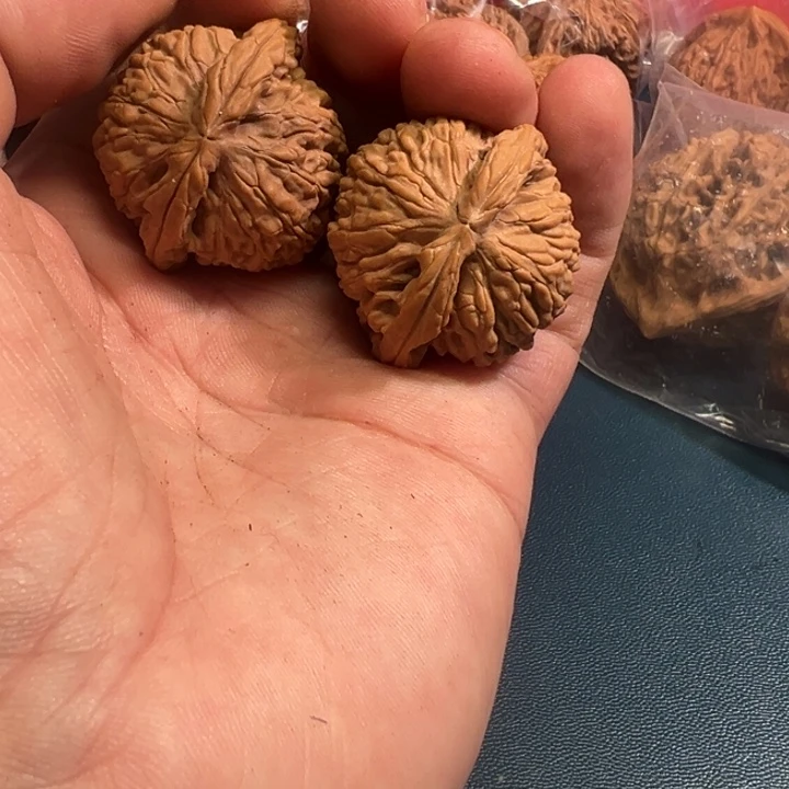 搁***浅大叶紫檀（黑酸枝木类）