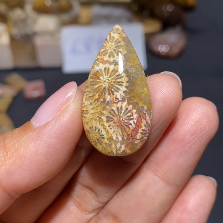 【闪购商品】未镶嵌珊瑚玉硅化玉