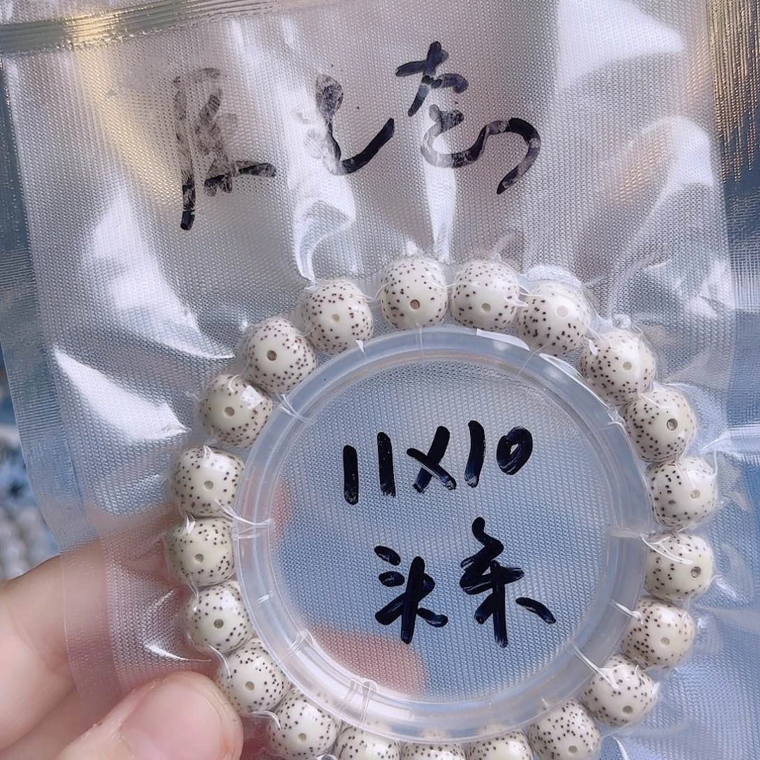 老***赵吊坠菩提根/象牙果