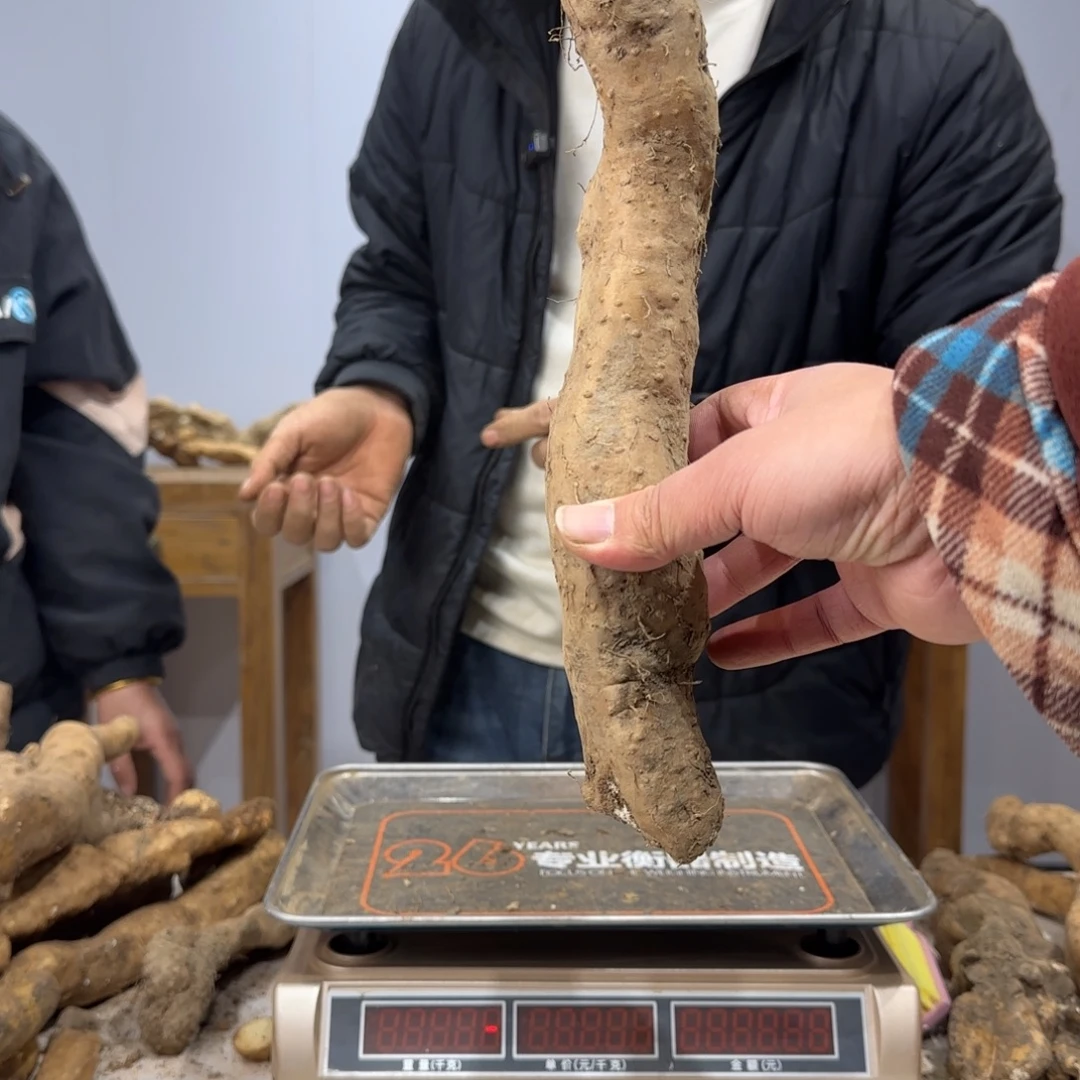 亭***院中国大陆11111111