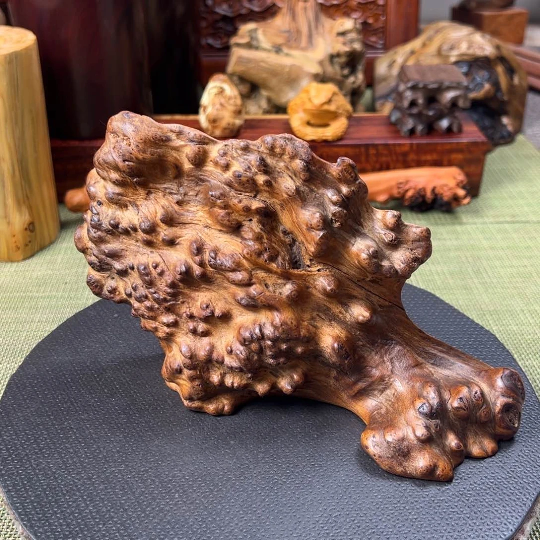 大果紫檀（缅甸花梨）石***天