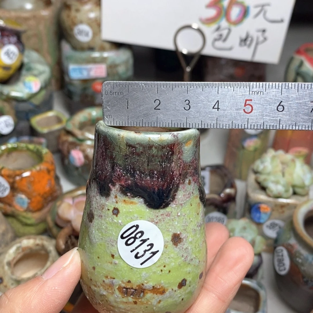 花盆拍5送一个小礼物