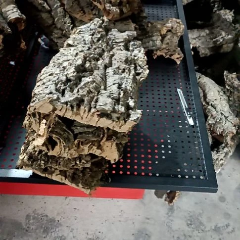 好*练一物一拍一物一发