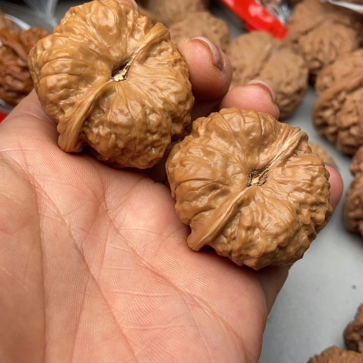 文玩核桃把件学****年蛤蟆