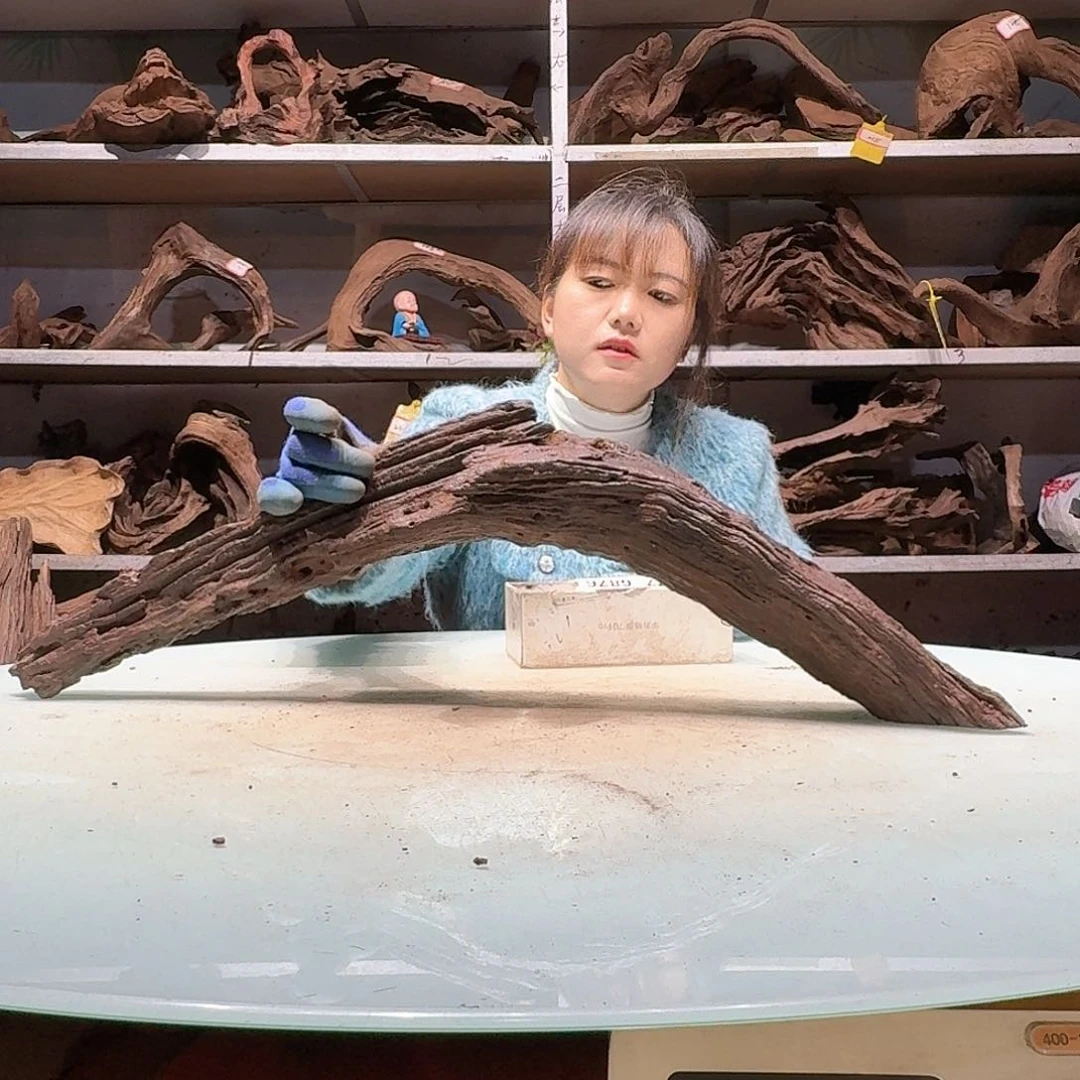 倍褚沉木不包损必褪色马*6865