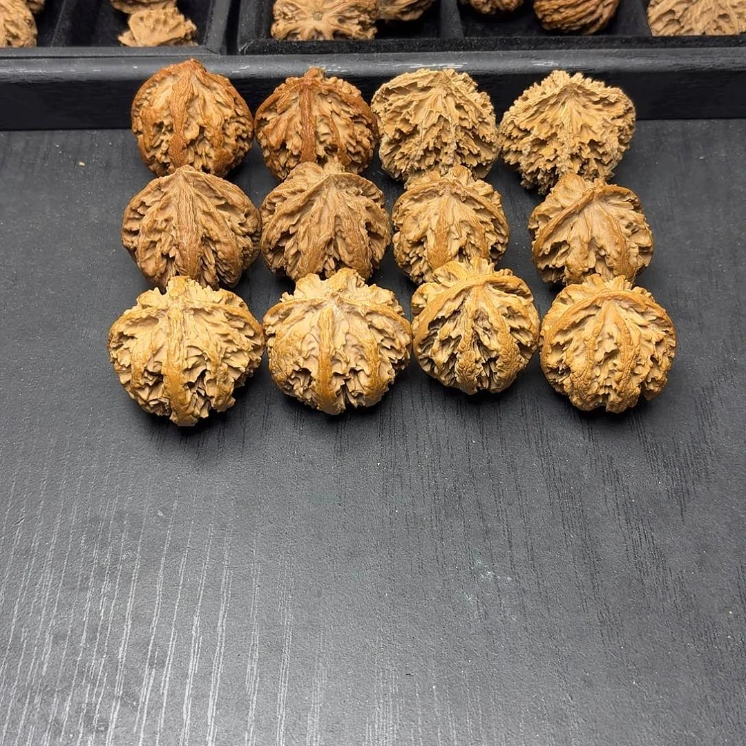 桃木突突突突突突突突