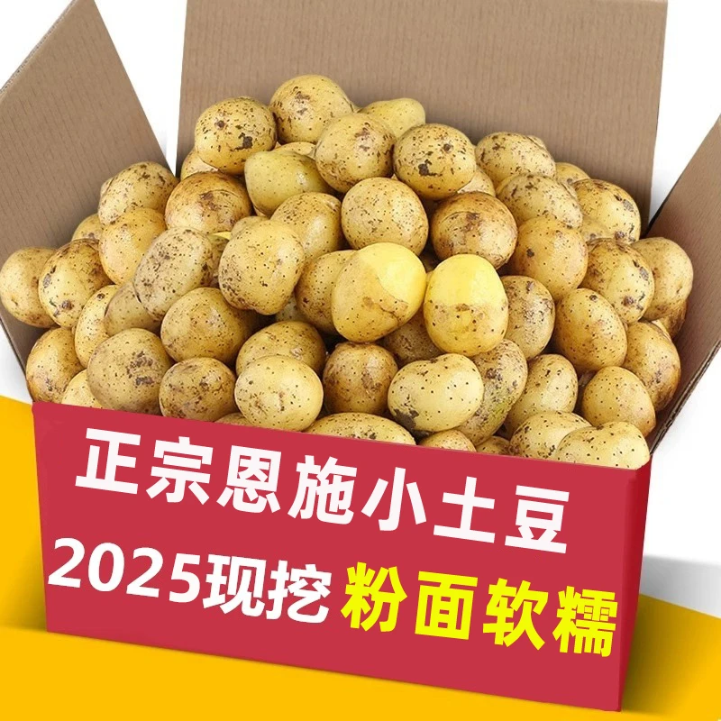 【直播专属】湖北恩施高山蔬菜黄心小土豆 洋芋马铃薯口感面糯