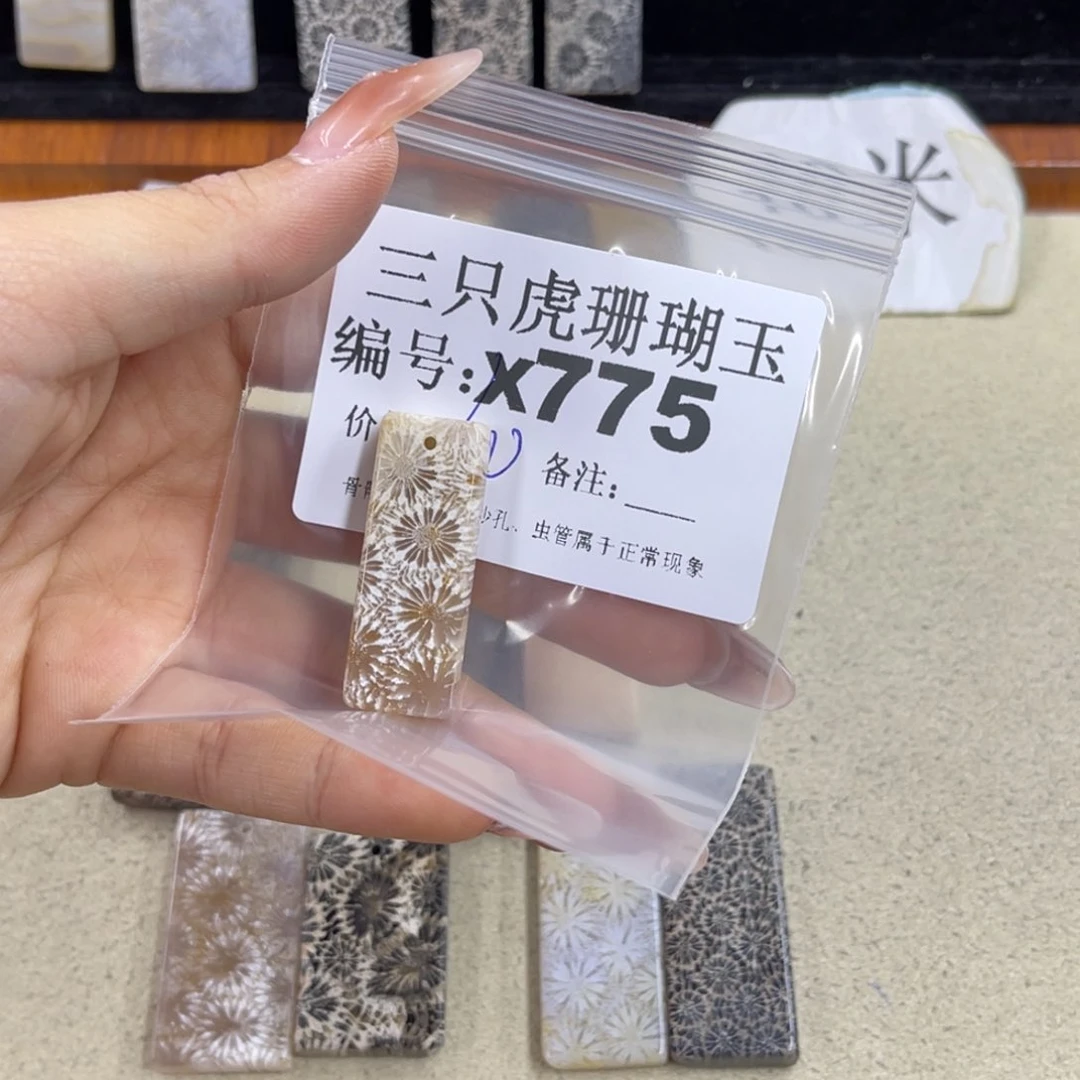 默***.硅化珊瑚（珊瑚玉）h银S925镀金镶嵌