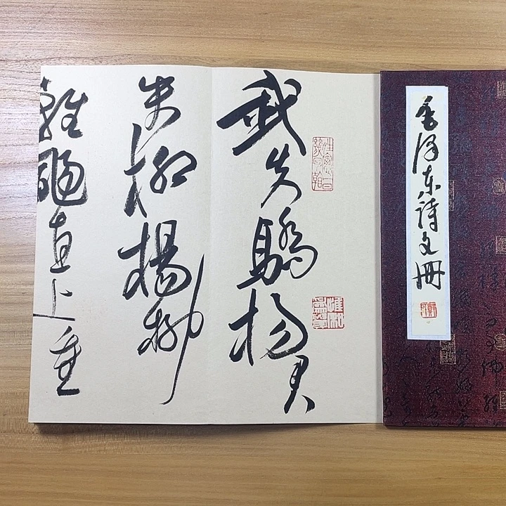 书法中书协会员作品