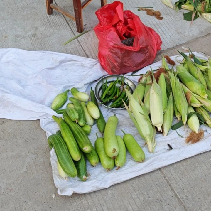 中国大陆寿县农家菜菜瓜3斤装