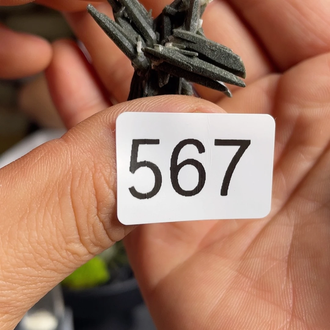 摆件未镶嵌水晶z z